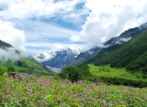 Valley of flowers Trek