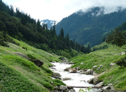 Valley of flowers Trek1