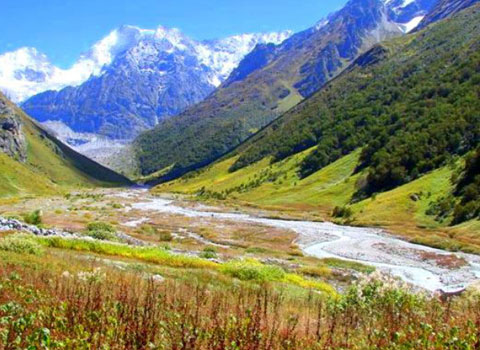 Valley of flowers Trek3