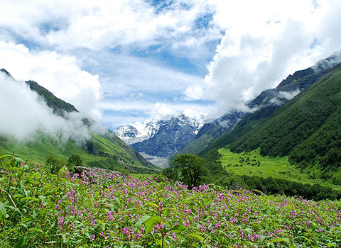 Valley of flowers Trek4