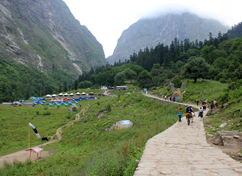 Valley of flowers Trek5